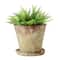 Distressed Terracotta Cement Planter with Saucer Set